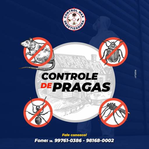 Dedetização em Assis - Proteção Eficaz Contra Pragas Urbanas em Assis/SP