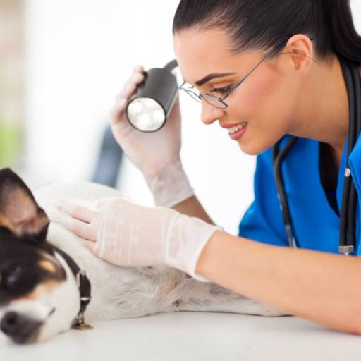 Dermatologista e Biópsia de pele