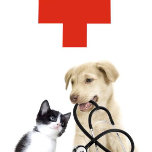 Atendimento Clínico Veterinário Completo em Tietê - Cuidando de Todos os Seus Animais