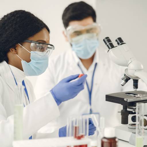 Laboratório Clínico em Santarém/PA – Diagnósticos Precisos e Confiáveis no Laboratório Primavera