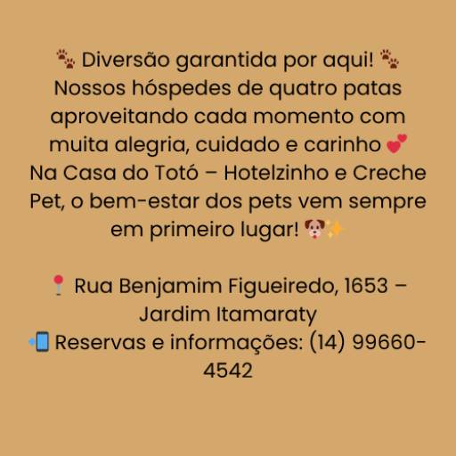 Diversão garantida por aqui! por Casa do Totó Hotelzinho e Creche Pet