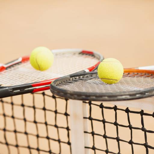 Loja/Encordoamento por Léo Tennis Atibaia - Aula de Tênis e Locação de Quadra de Tênis