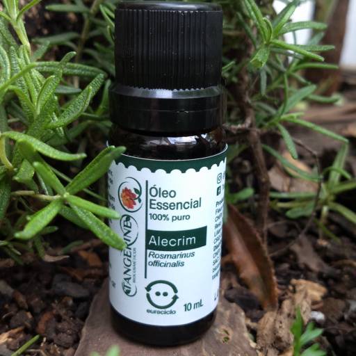 Óleo Essencial de Alecrim por Tangerine Biocosméticos em São Paulo, SP por Tangerine Biocosméticos