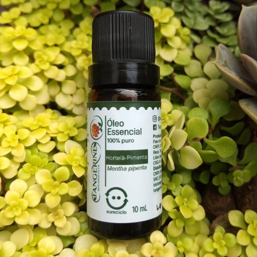 Óleo Essencial Hortelã - Pimenta em São Paulo, SP por   TANGERINE Biocosméticos