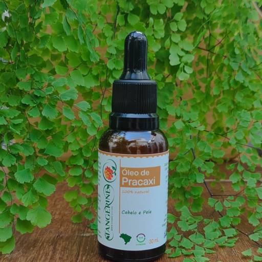 Óleo de Pracaxi em São Paulo – Alta performance para pele e cabelos em São Paulo, SP por Tangerine Biocosméticos