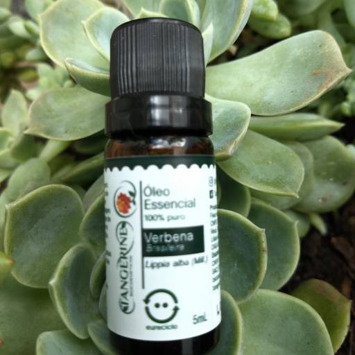 Óleo Essencial de Verbena Tangerine Biocosméticos em São Paulo, SP por Tangerine Biocosméticos