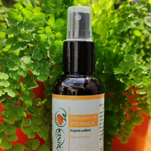 Hidrolato de Pitanga Tangerine Biocosméticos