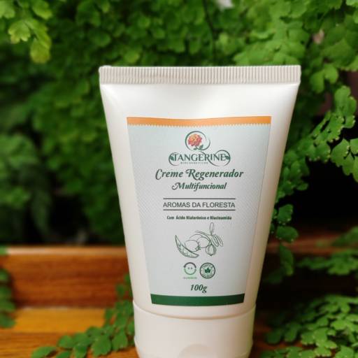 Creme Regenerador Mulifuncional por Tangerine Biocosméticos em São Paulo, SP por Tangerine Biocosméticos