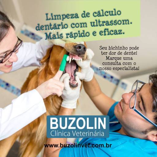  Limpeza de Cálculo Dentário com Ultrassom: Sorriso Saudável para Seu Pet em Santa Cruz do Rio Pardo/SP