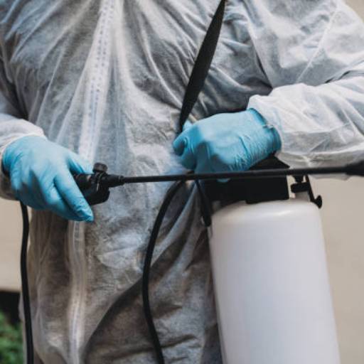 Controle de Pragas Industrial no Santa Bárbara Resort – Segurança e Conformidade com a Detecta por Detecta Dedetizadora