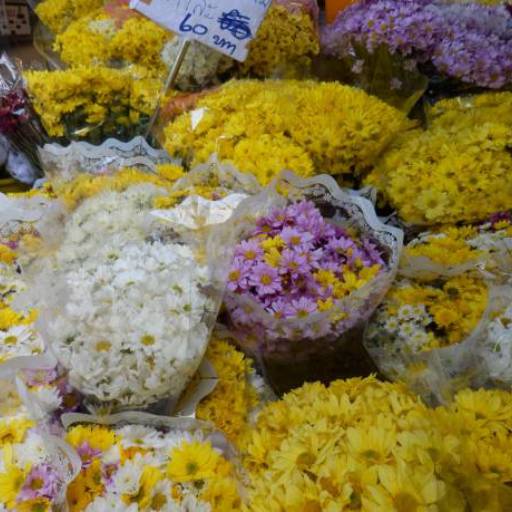 Flores Naturais em Araquari – Encanto que Floresce em Cada Momento