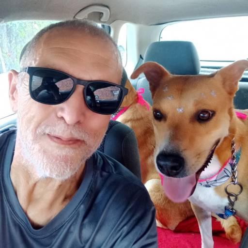 Táxi Pet  para Banho e Tosa