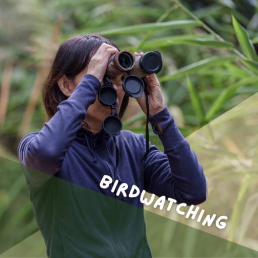Birdwatching