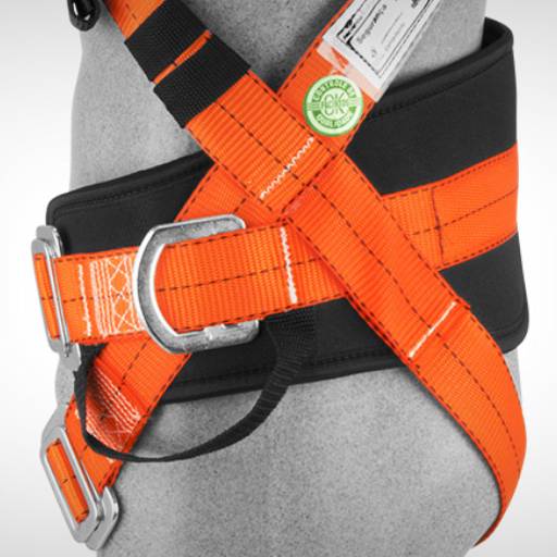 Cinto Segurança PQ3 por Lole EPI