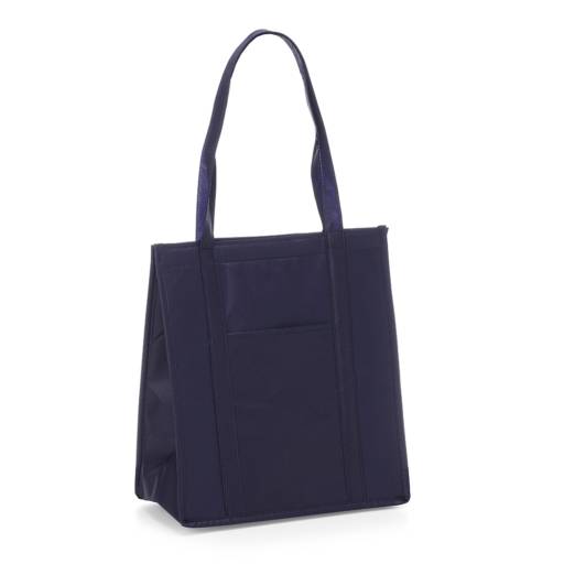 18595 Sacola TNT Térmica 18 Litros em São José do Rio Preto, SP por Public Gráfica e Brindes