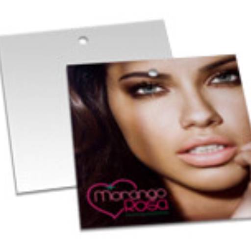 TAG PADRÃO FURO - COUCHÊ 250G - VERNIZ UV TOTAL FRENTE em São José do Rio Preto, SP por Public Gráfica e Brindes