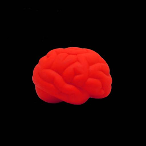 Cérebro Anti-Stress Vinil oca Personalizado em São José do Rio Preto, SP por Public Gráfica e Brindes