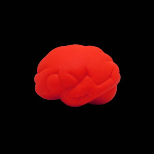 Cérebro Anti-Stress Vinil oca Personalizado em São José do Rio Preto, SP por Public Gráfica e Brindes