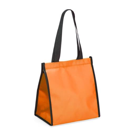 02595 Bolsa Térmica 6 Litros em São José do Rio Preto, SP por Public Gráfica e Brindes