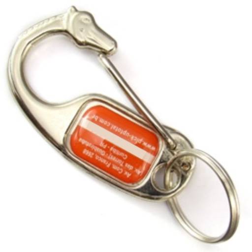 Chaveiros Mosquetões COD 122 - Cavalo - resina 2 lados em São José do Rio Preto, SP por Public Gráfica e Brindes