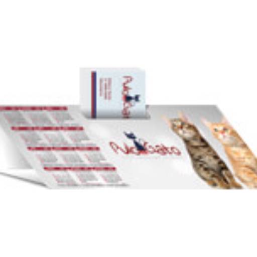 CALENDÁRIO DE MESA PORTA CARTÕES SIMPLES em São José do Rio Preto, SP por Public Gráfica e Brindes