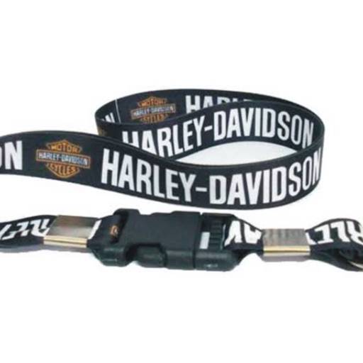 Cordões Personalizados de Cetim em São José do Rio Preto, SP por Public Gráfica e Brindes