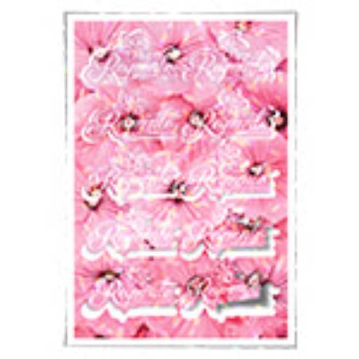 ADESIVO FOLHA 330X480MM COM CORTE ESPECIAL em São José do Rio Preto, SP por Public Gráfica e Brindes