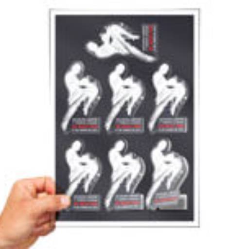 ADESIVO FOLHA 330X480MM COM CORTE ESPECIAL em São José do Rio Preto, SP por Public Gráfica e Brindes