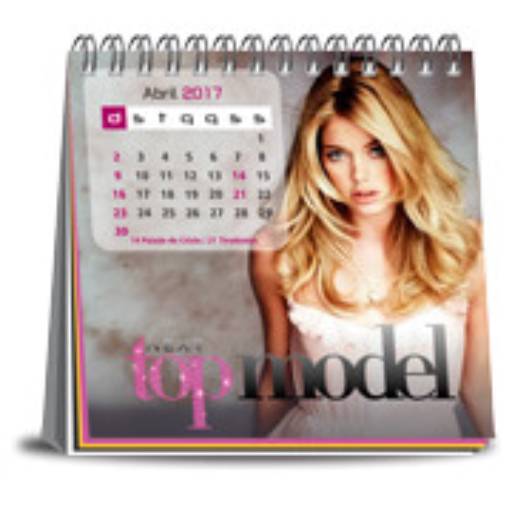 CALENDÁRIO DE MESA WIRE O COM 12 PAGINAS em São José do Rio Preto, SP por Public Gráfica e Brindes