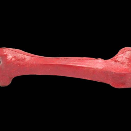 Osso vinil Grande PET em São José do Rio Preto, SP por Public Gráfica e Brindes