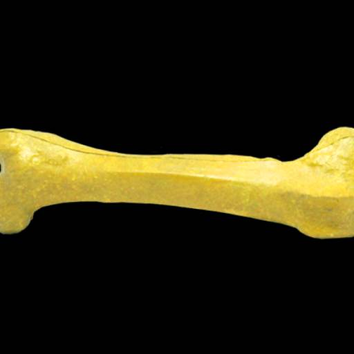 Osso vinil Grande PET em São José do Rio Preto, SP por Public Gráfica e Brindes