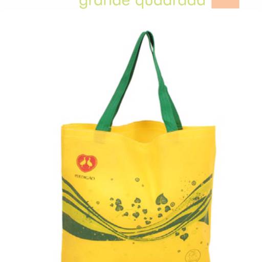 Sacolas de TNT em São José do Rio Preto, SP por Public Gráfica e Brindes