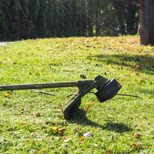 Roçadeira Profissional – Aluguel de Equipamentos em Nova Lima