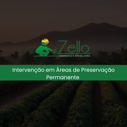 Intervenção em Áreas de Preservação Permanente