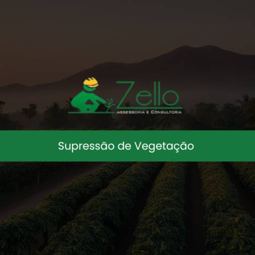 Supressão de Vegetação 