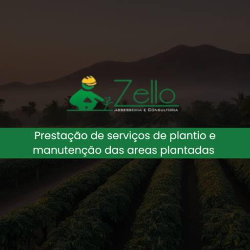 Prestação de serviços de plantio e manutenção das áreas plantadas 