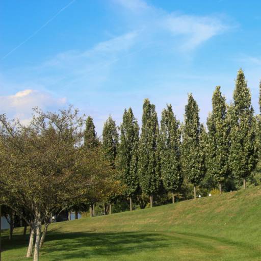 Assessoria Ambiental Contínua