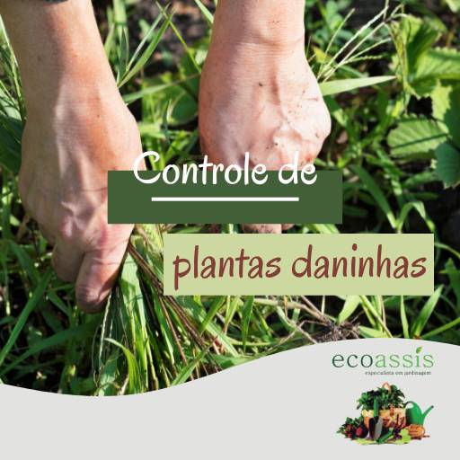 Controle de plantas daninhas, pragas e doenças