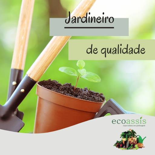 Jardineiro em Assis