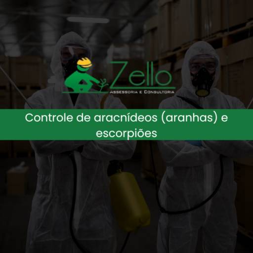 Controle de aracnídeos (aranhas) e escorpiões por Zello Consultoria - Engenharia Ambiental e Segurança do Trabalho