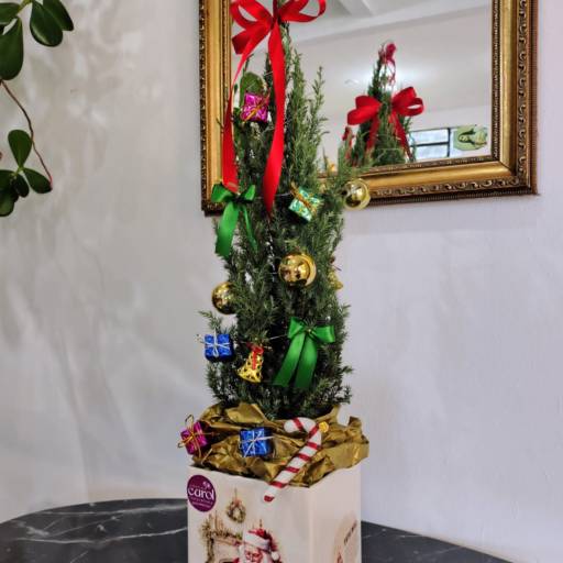 Árvore de Natal Colorida