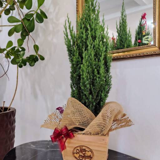 Árvore de Natal Natural