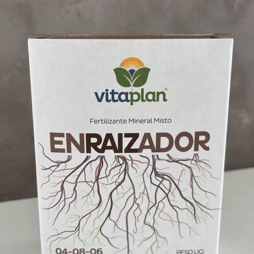 Enraizador 