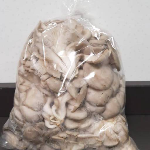 Shimejis por Kilo - Frescor direto do campo - São José dos Campos