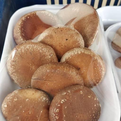 Shitakes por Kilo - Sabor autêntico direto do campo -  São José dos Campos