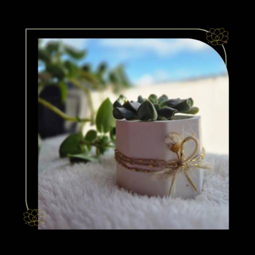 Vasinho de Gesso Com Suculenta e Detalhe em Fio de Juta – Lembrança Viva Para Casamento