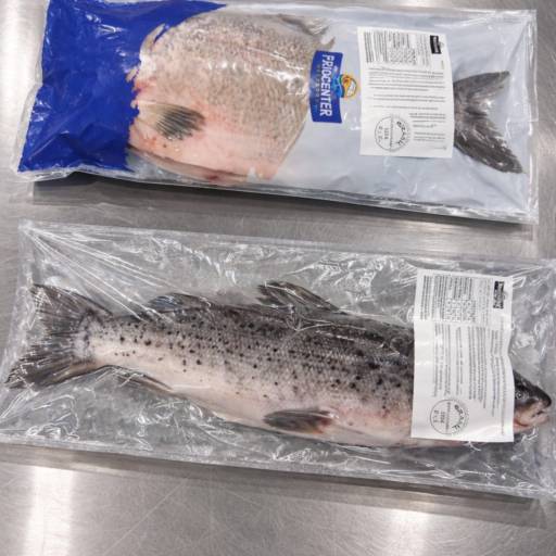 Peixe Inteiro Congelado