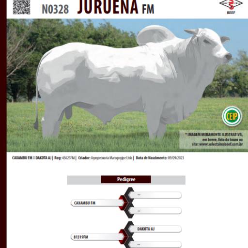 Touro Nelore Juruena FM (N0328)