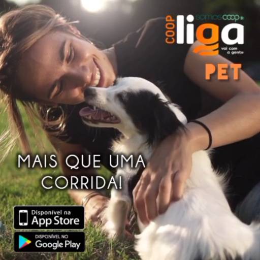 LIGA PET: viaje com seu melhor amigo