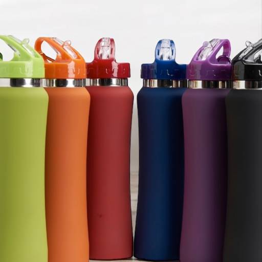 Garrafa Inox 750ml